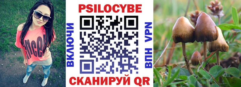 Псилоцибиновые грибы Cubensis Рыльск